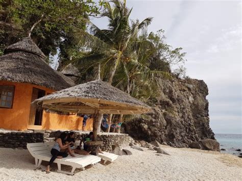 apo island hotels|The Best Apo Island Beach Hotels 2022 .